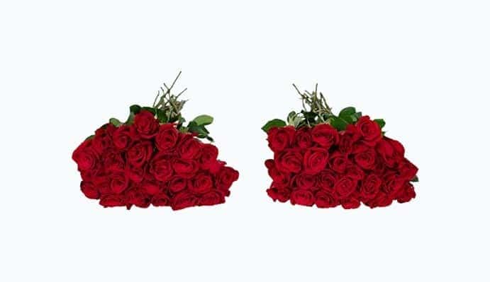 Benchmark Bouquets 50 Red Roses Farm Direct