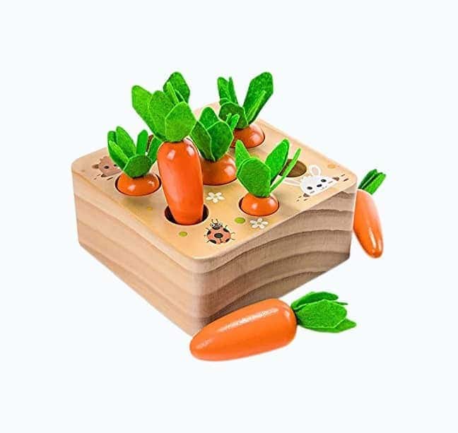 Carrot Garden Game