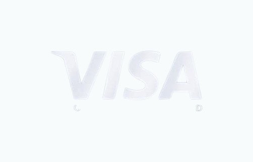 Visa Gift Card