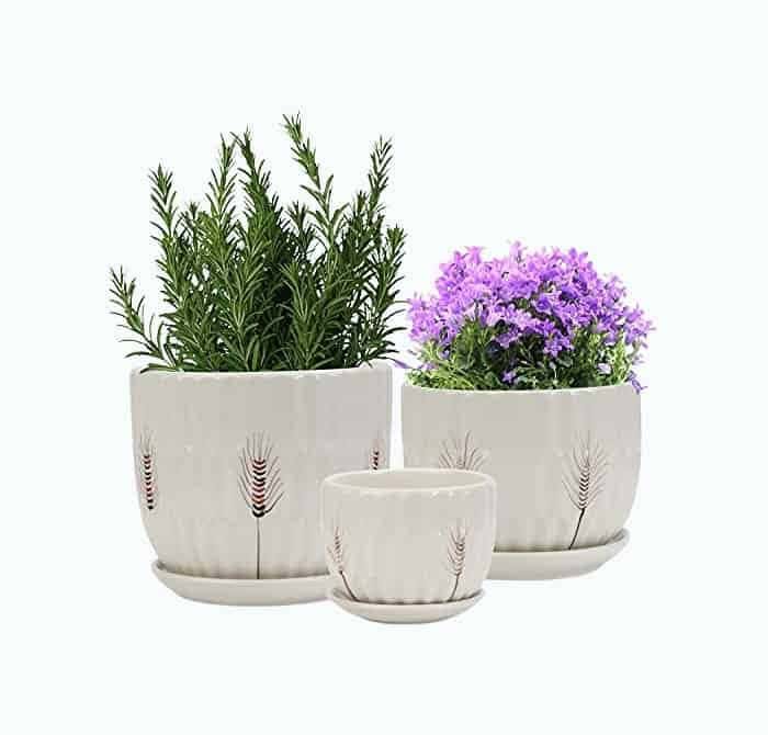 Ceramic Plant Pots