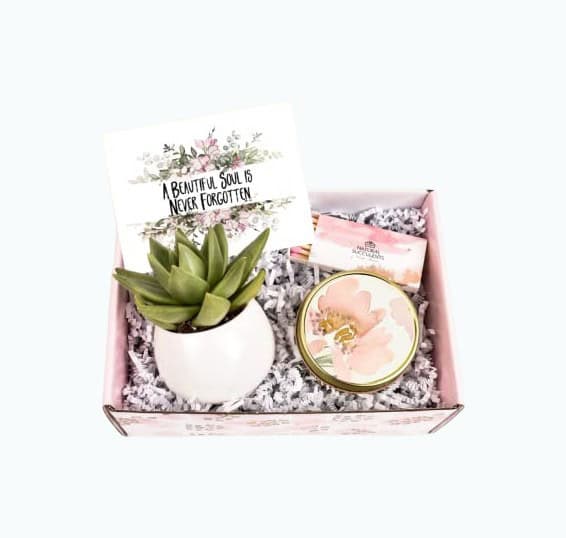 Succulent Gift Box