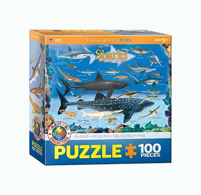 Sharks 100 Piece Jigsaw Puzzle