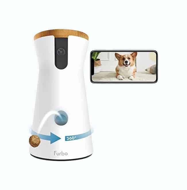 360-Degree Dog Camera