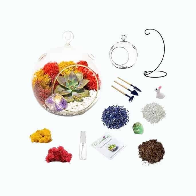 DIY Terrarium Kit