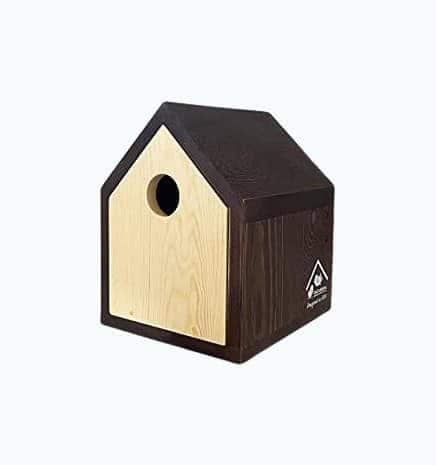 2-in-1 Convertible Birdhouse Birdfeeder