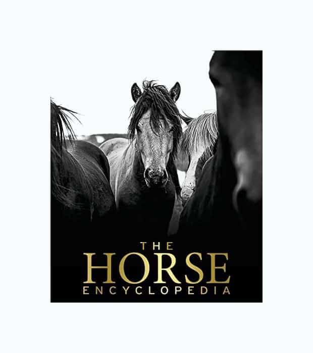 Horse Encyclopedia