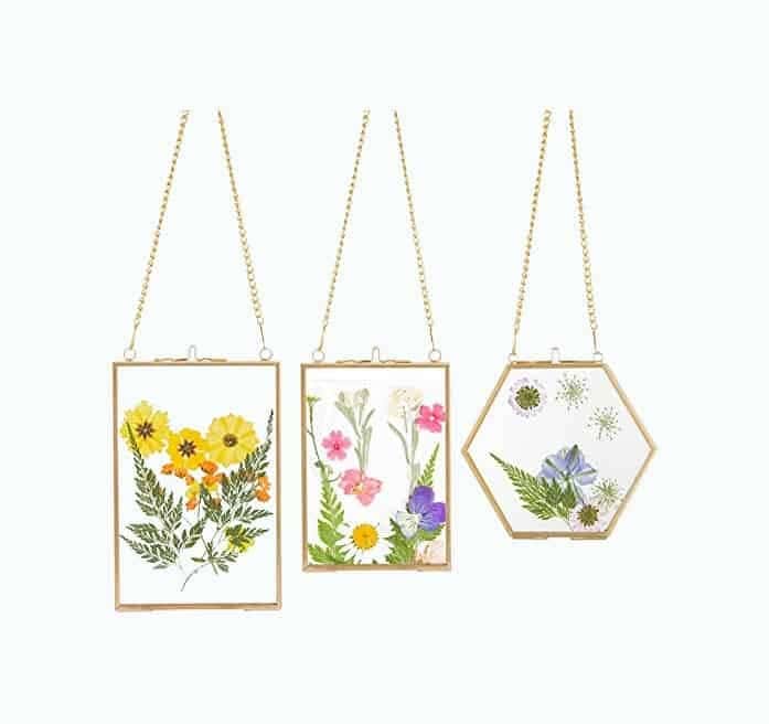 Pressed Flowers In Glass Frames