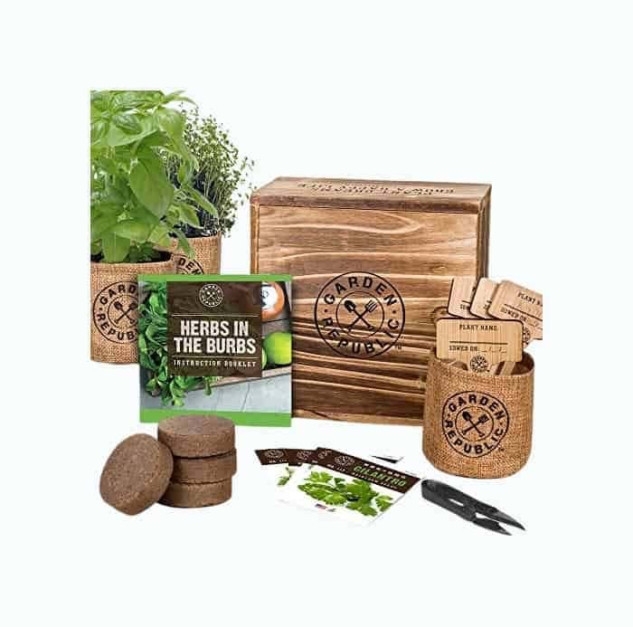 DIY Herb Garden Gift Box