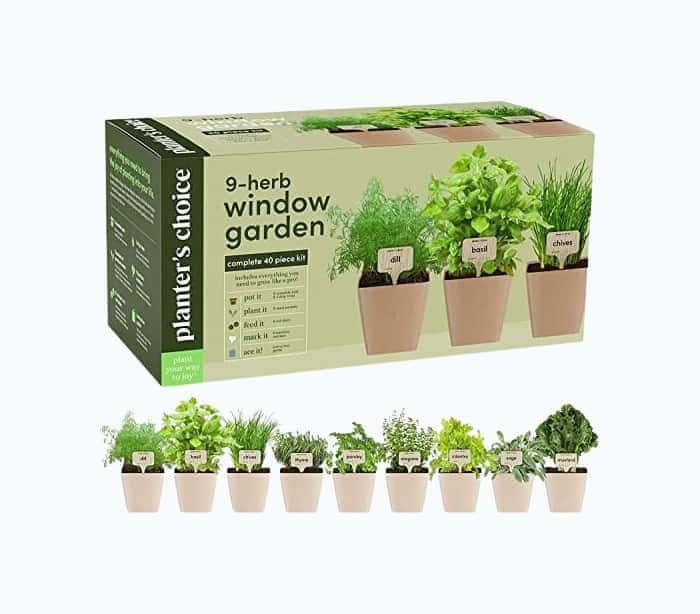 Herb Window Garden Kit