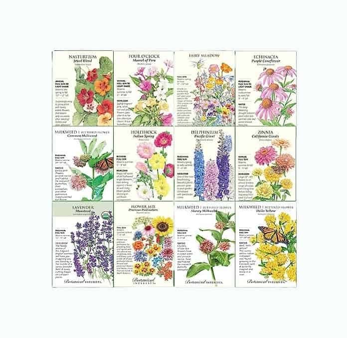 Butterfly Garden Flower Seed Collection