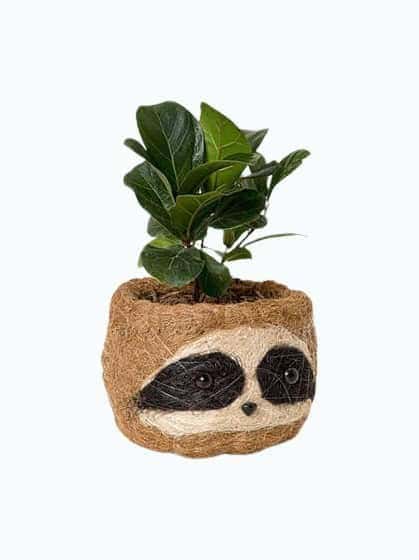 Sloth Planter