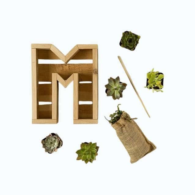 Succulent Letter DIY Kit