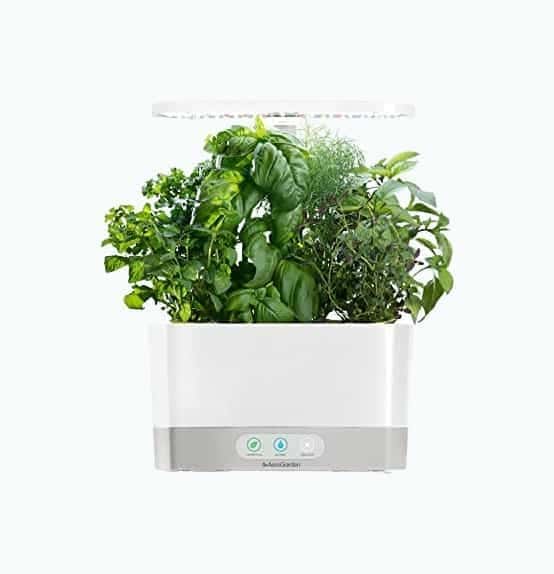 Indoor Hydroponic Garden