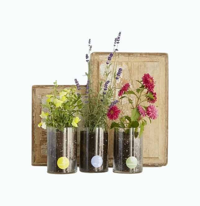 Birth Month Flower Grow Kit