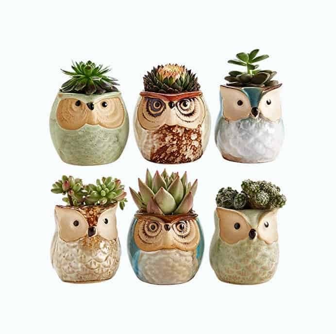 Owl Pot Set