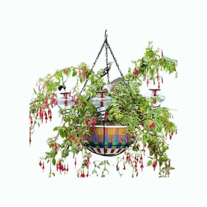 Hanging Basket Hummingbird Feeder