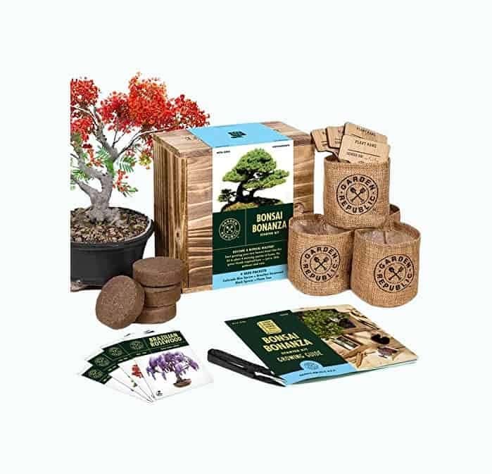 Bonsai Making Gift Box