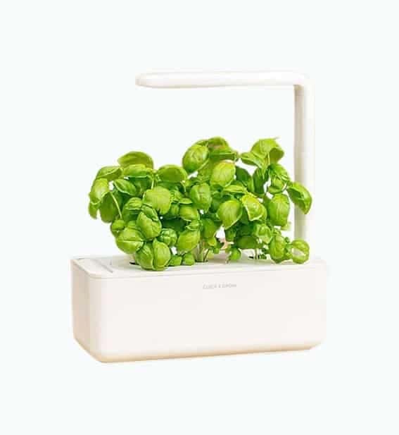 Smart Garden Grow Kit