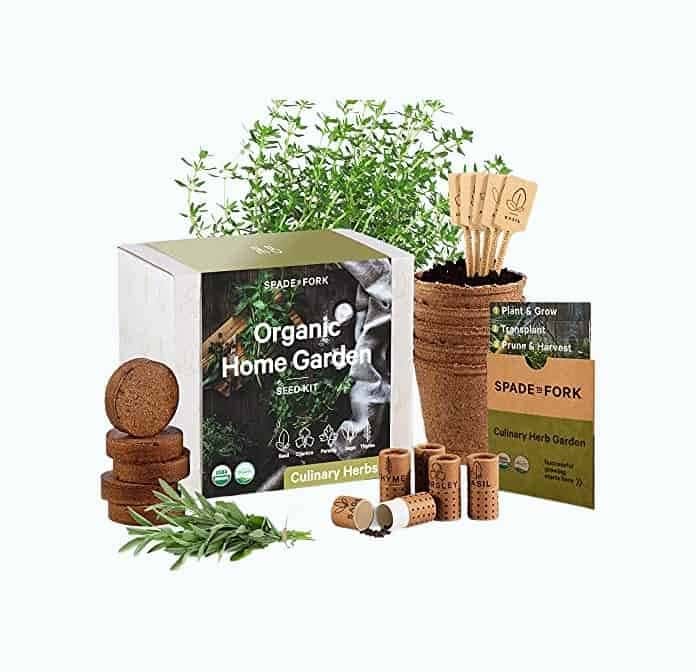 Indoor Herb Garden Starter Kit