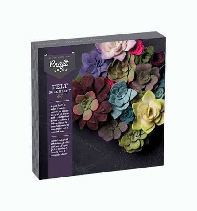 Felt Succulents Craft Kit