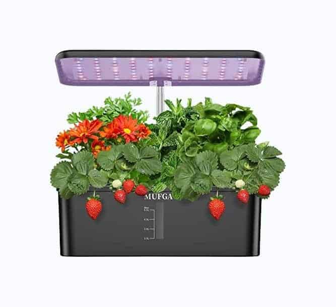 Hydroponics Growing System