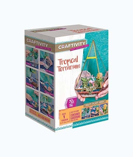 Tropical Terrarium Kit