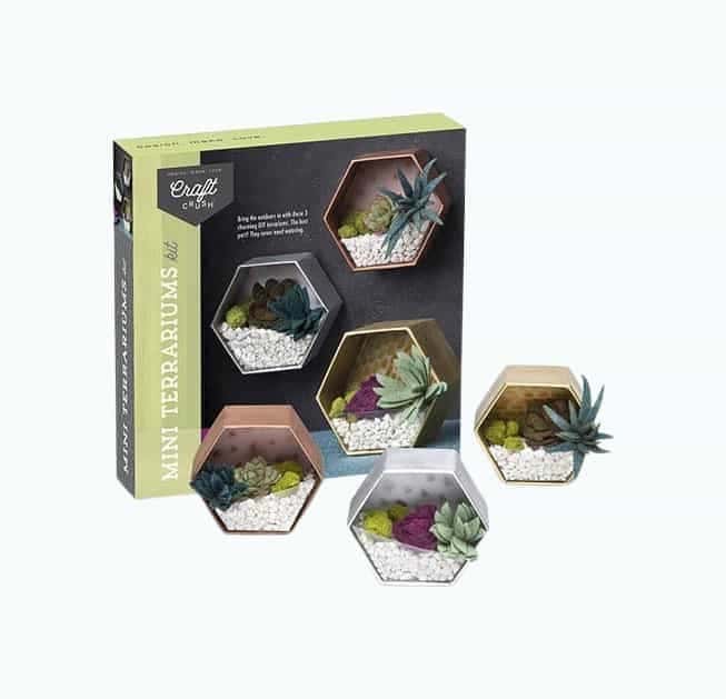 Mini Terrarium DIY Kit