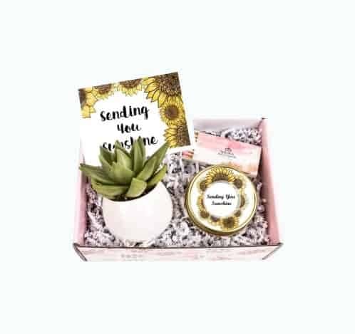 Sending You Sunshine Succulent Gift Box