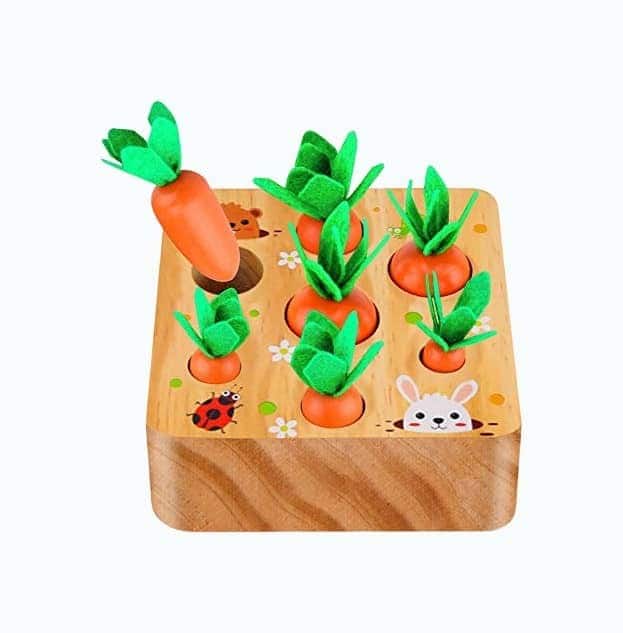 Carrot Harvest Toy