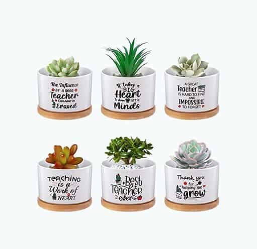 Teacher Plant Pot Set