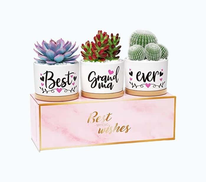 Best Grandma Planter Set