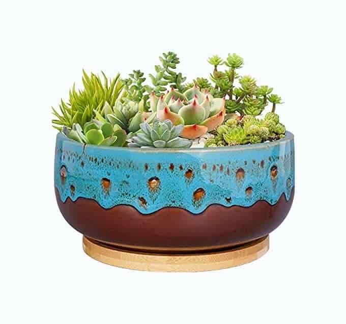 Decorative Succulent Planter Pot