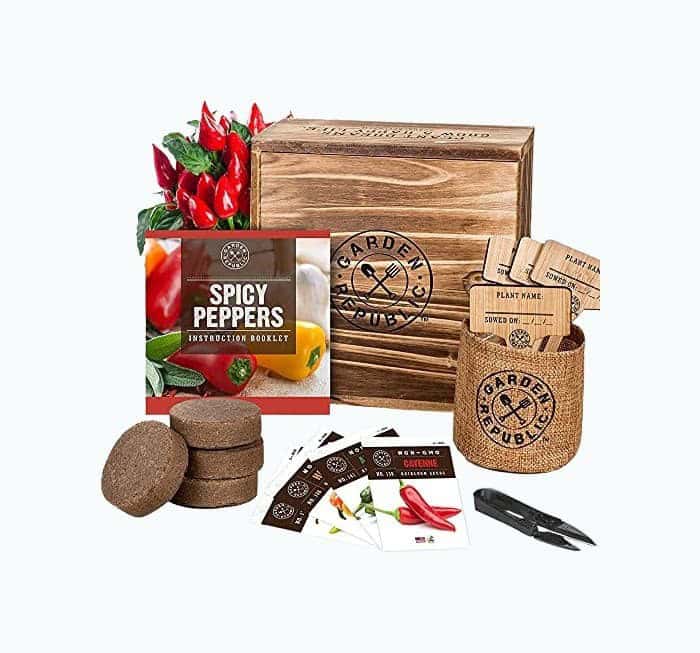 Indoor Pepper Seed Starter Kit