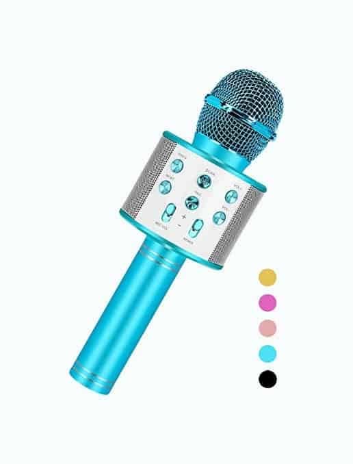 Handheld Karaoke Microphone