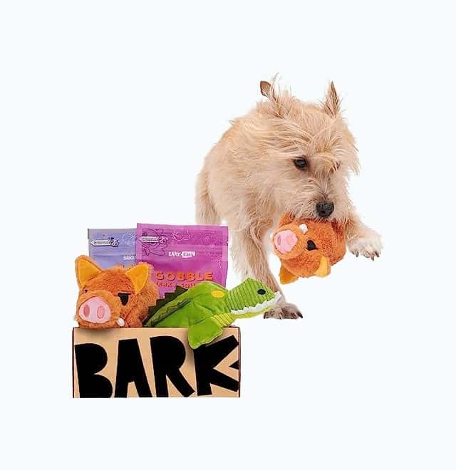 BarkBox Monthly Subscription Box