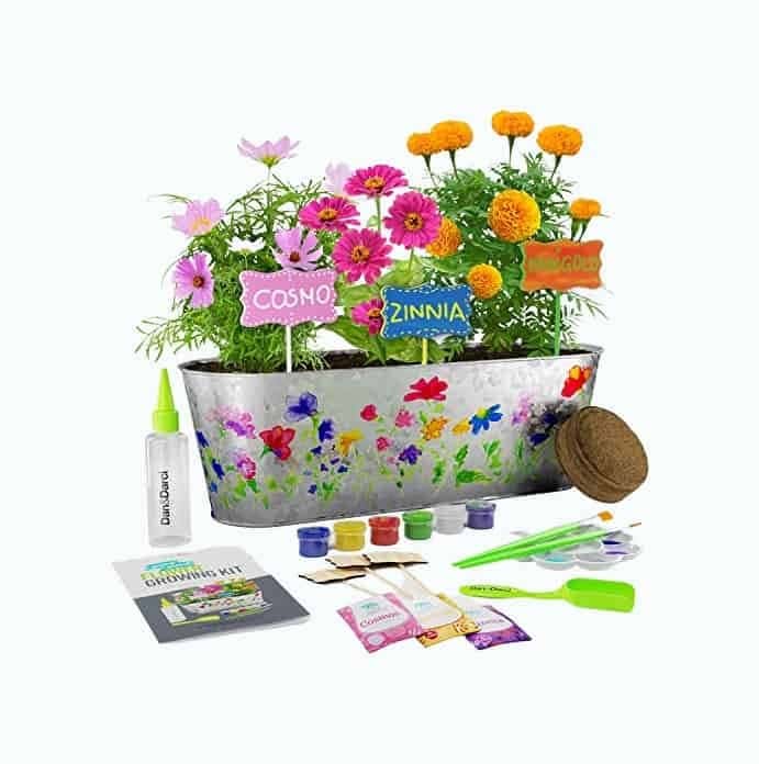 Paint & Plant Flower Growing Kit