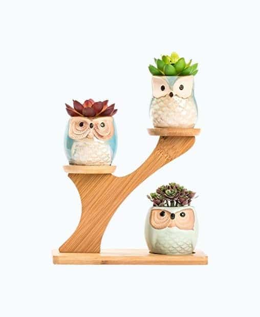 Owl Succulent Pots