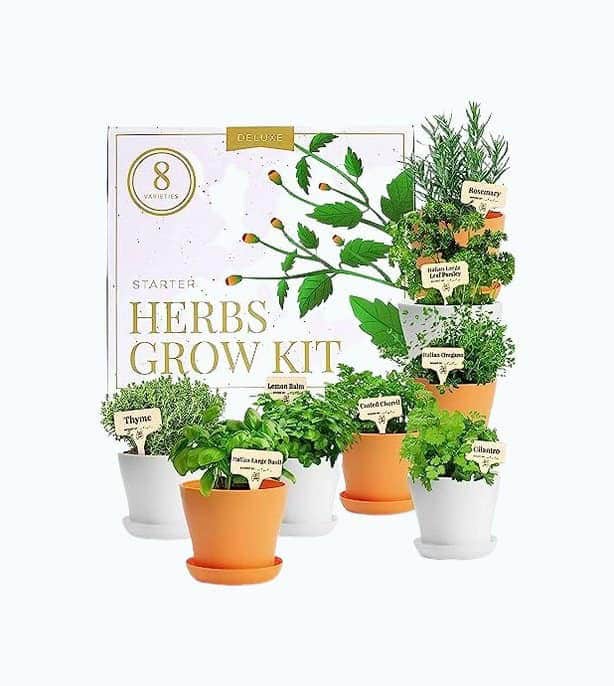 Herb Garden Kit