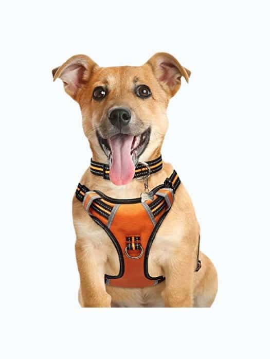 Dog Harness