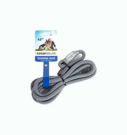 Slip Lead Dog Leash