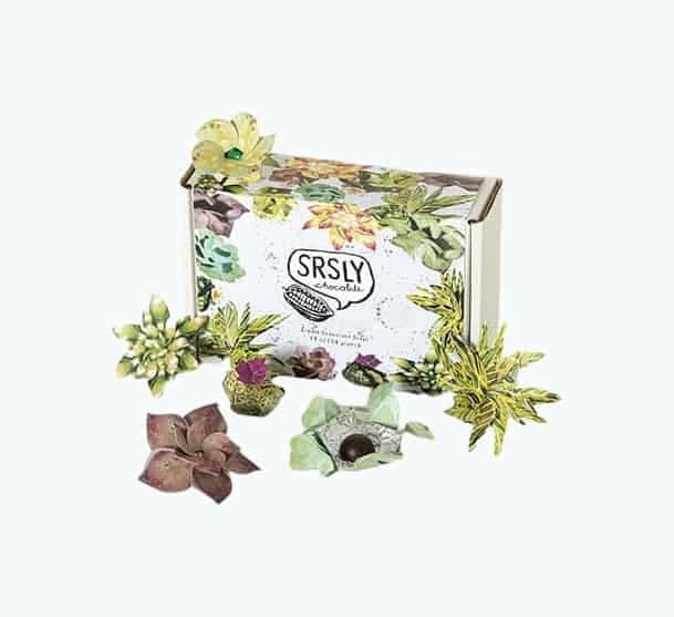 Succulent Chocolate Gift Set