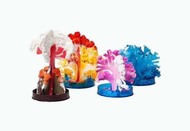 Volcano Island Crystal Growing Kit