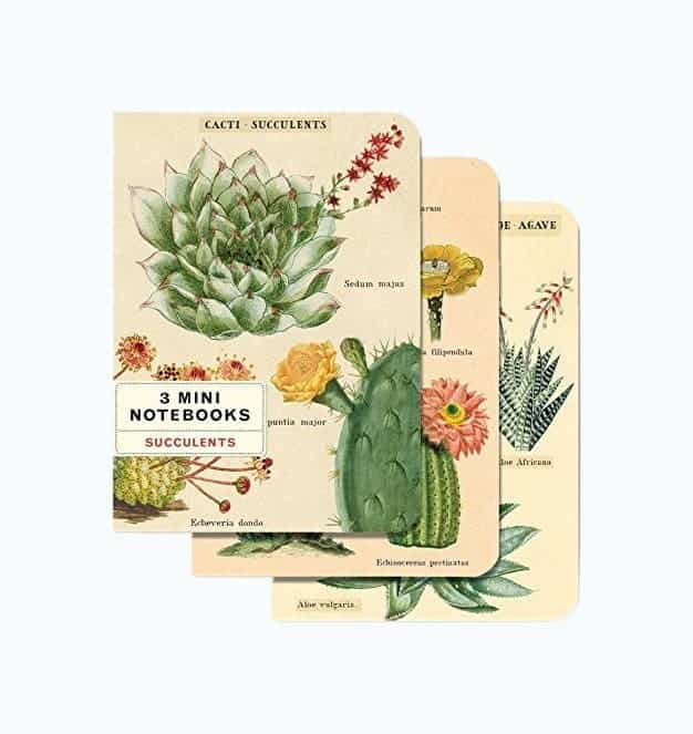 Succulents Mini Notebook