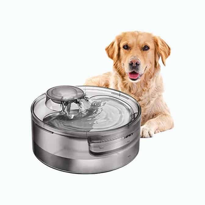 Dog Water Fountain