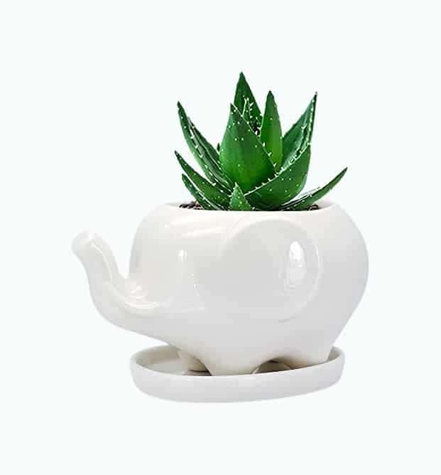 White Elephant Planter Pot