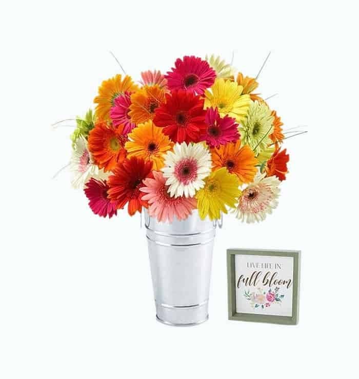 Happy Gerbera Daisies