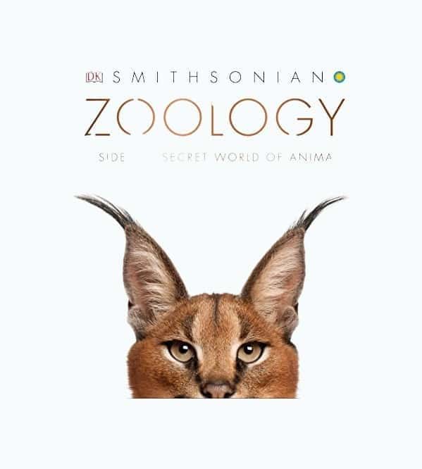 Zoology: Inside the Secret World of Animals