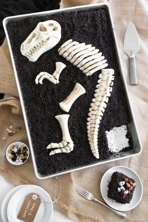 29 | FOSSIL CAKE