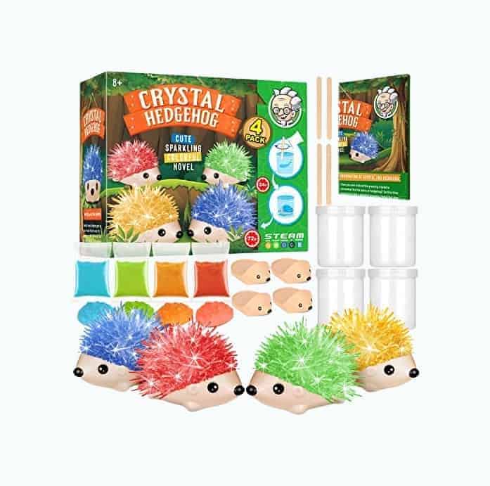 Crystal Growing Hedgehog Kit