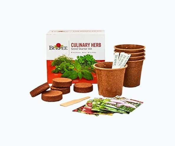 Burpee Culinary Garden Starter Kit